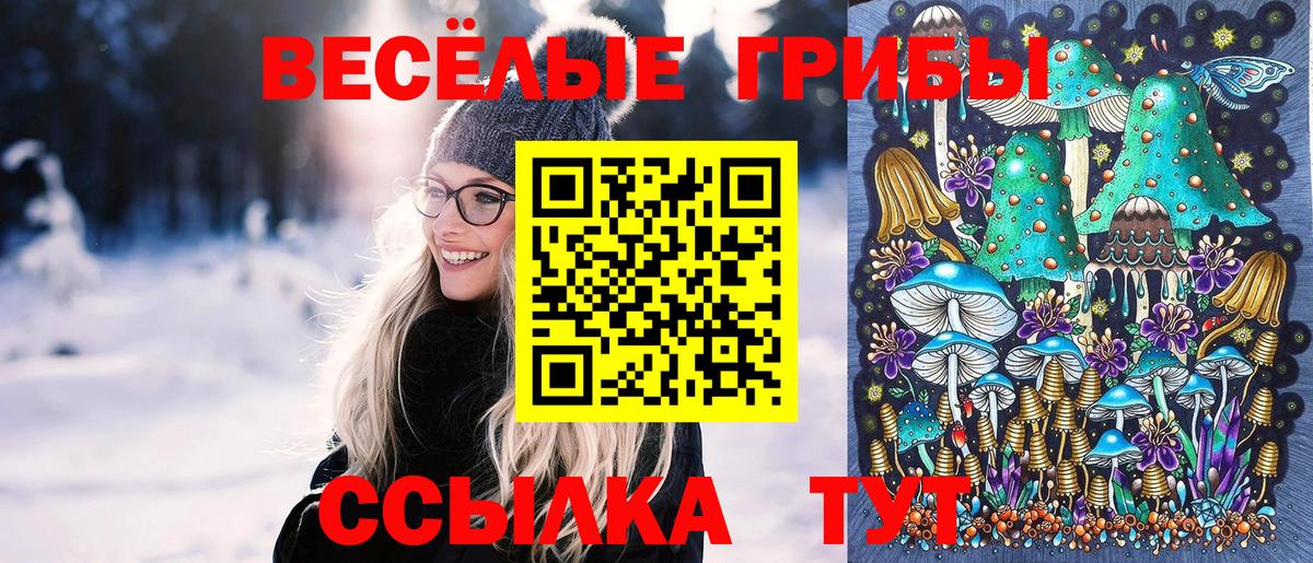 Псилоцибиновые грибы Psilocybine cubensis  Вход с VPN  Псилоцибиновые грибы прущие грибы  Карталы 